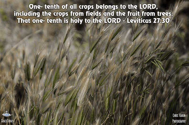Leviticus 27:30 New Century Version (NCV) “‘One-tenth of all crops belongs to the Lord, including the crops from fields and the fruit from trees. That one-tenth is holy to the Lord.