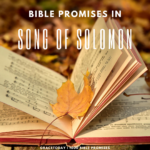 BIBLE PROMISES IN SONG OF SOLOMON