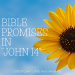 BIBLE PROMISES IN JOHN 14