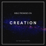 BIBLE PROMISES ON CREATION