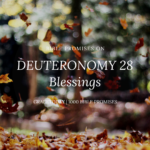 BIBLE PROMISES ON DEUTERONOMY 28 Blessings