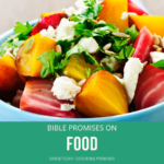 BIBLE PROMISES ON FOOD