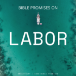 BIBLE PROMISES ON LABOR