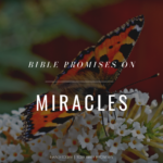 BIBLE PROMISES ON MIRACLES