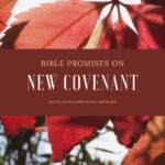 BIBLE PROMISES ON NEW COVENANT