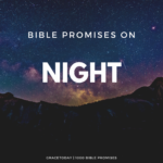 BIBLE PROMISES ON NIGHT
