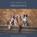 BIBLE PROMISES ON OBEDIENCE