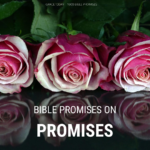 BIBLE PROMISES ON PROMISES