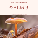 BIBLE PROMISES ON PSALM 91