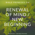 BIBLE PROMISES ON RENEWAL OF MIND_NEW BEGINNING