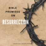 BIBLE PROMISES ON RESURRECTION