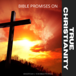 BIBLE PROMISES ON TRUE CHRISTIANITY