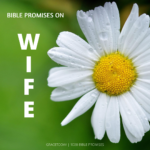 BIBLE PROMISES ON WIFE