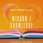 BIBLE PROMISES ON WISDOM KNOWLEDGE