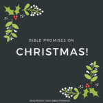 BIBLE PROMISES ON christmas!